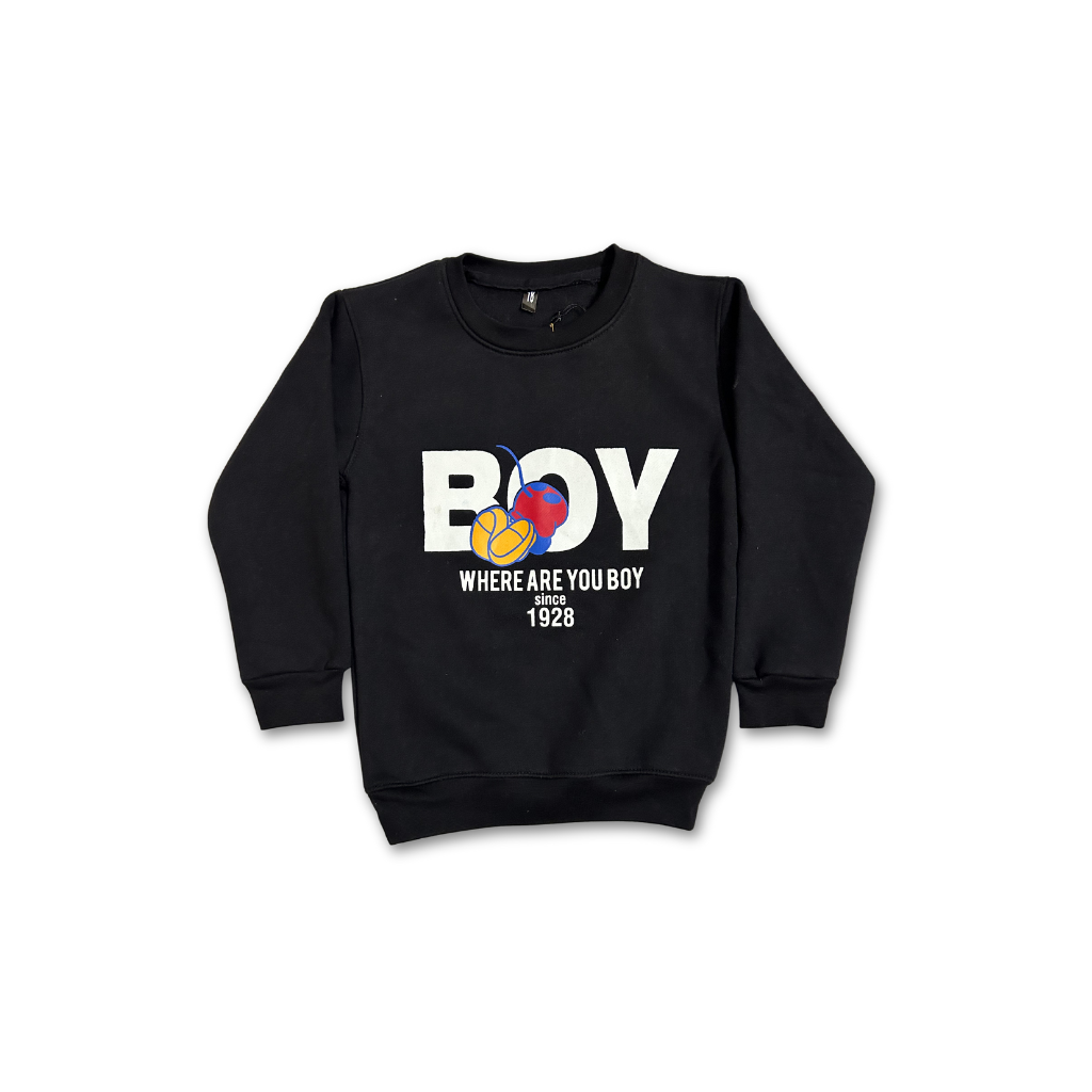 Imported Boy Winters Fleece Sweatshirt and Trouser